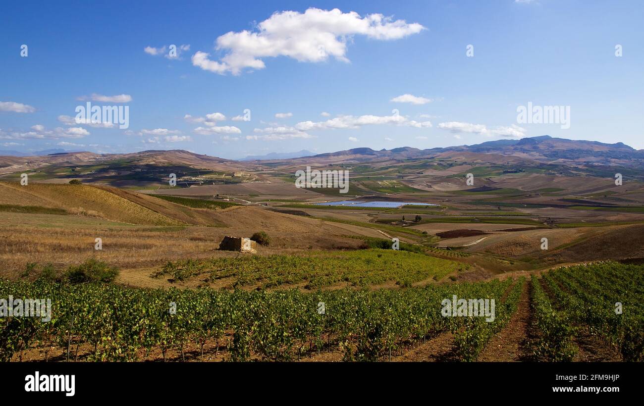 Italy, Sicily, wine, vineyards, Sambuca di Sicilia, Lago Arancio, view from the hill at Santa Margherita di Belice on vineyards and Lake Arancio, dry fields, hills in the background, light blue sky, single white clouds, stone scales Stock Photo