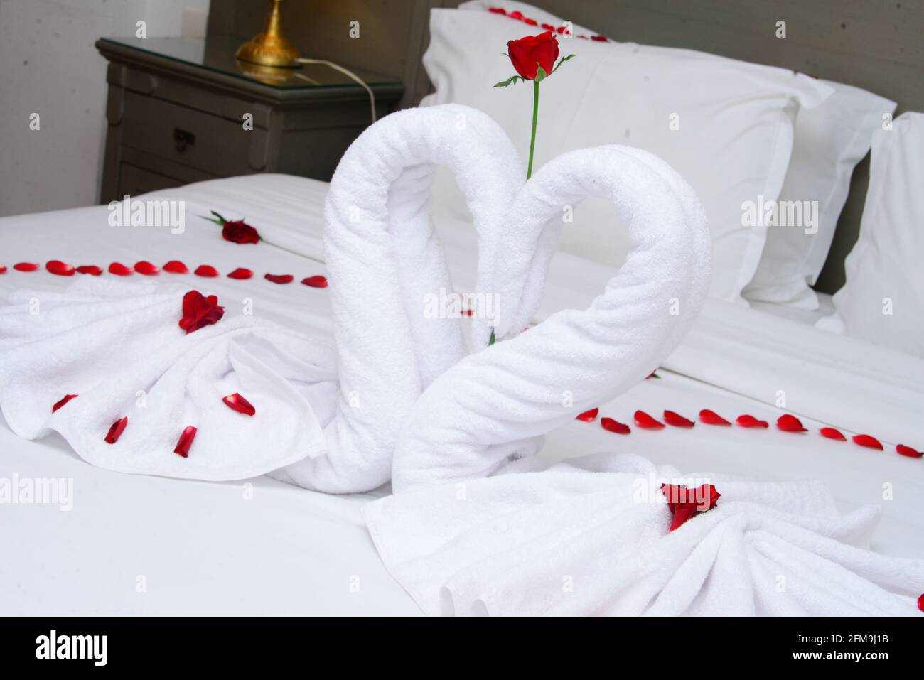 Towel as birds decoration with red rose petals on white clean bed in
