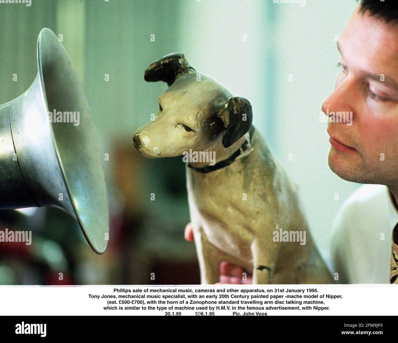 Nipper dog for sale sales