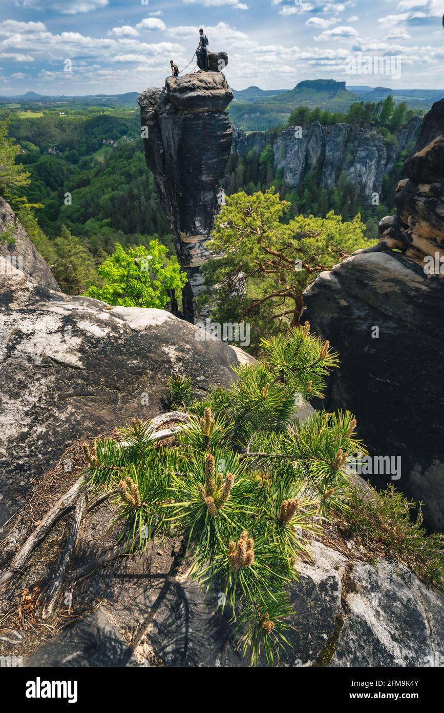 Unrecognized silhouette of climbers with the rope on mountain top in famous  Bastei rock formation of national park Saxon Switzerland, Germany. Pine  tree in foreground. Extrem travel experience Stock Photo - Alamy