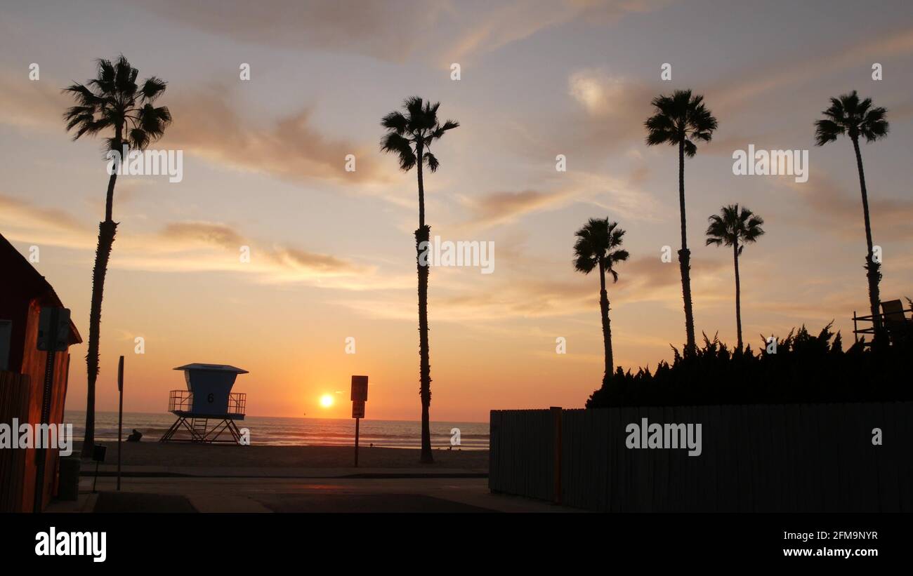 California Vibes, aesthetic, america, beach, la, night, palms