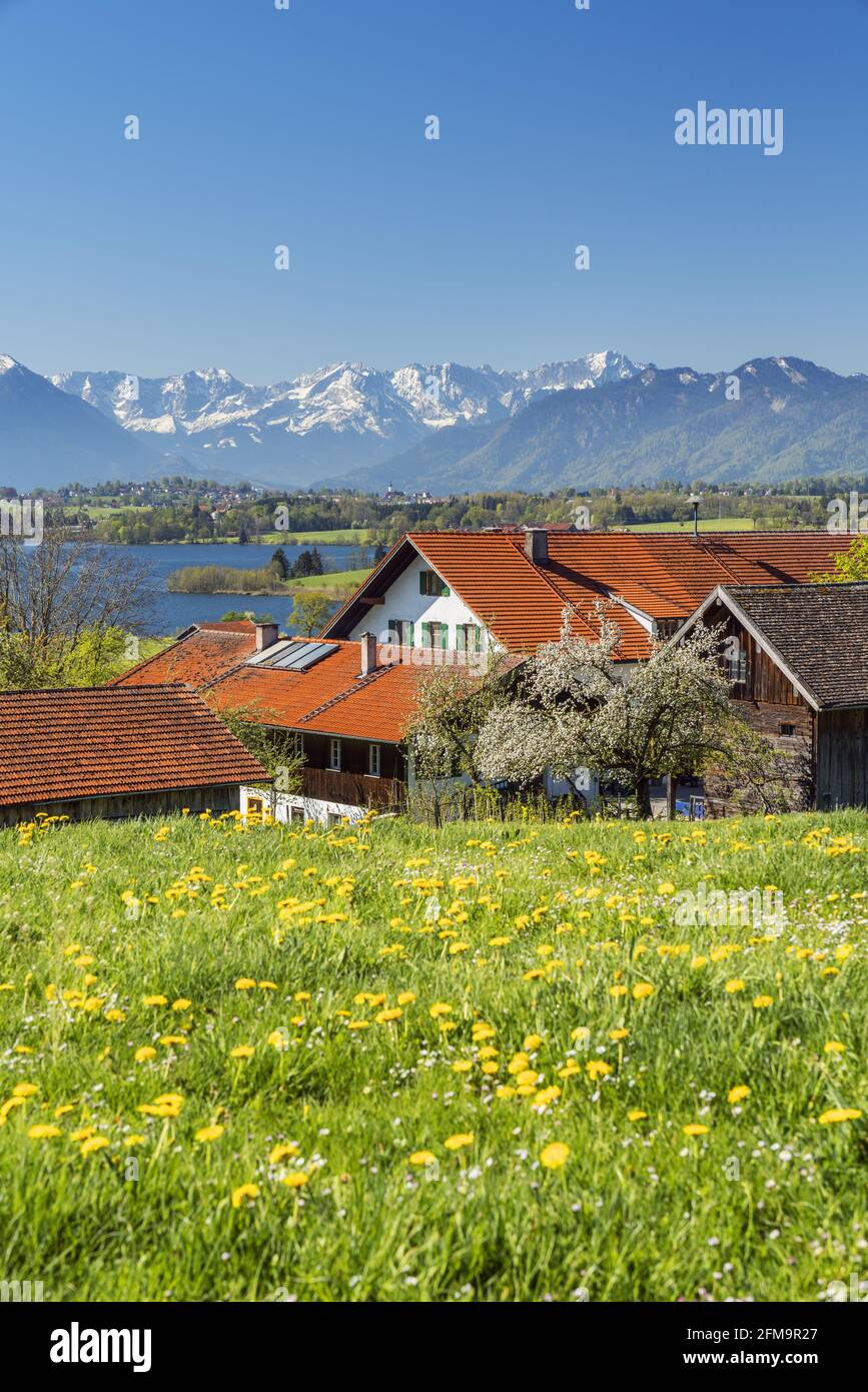 Farm at Riegsee in front of Estergebirge, Wetterstein Mountains and Ammergau Alps, Aidling, Riegsee, Upper Bavaria, Bavaria, Germany Stock Photo