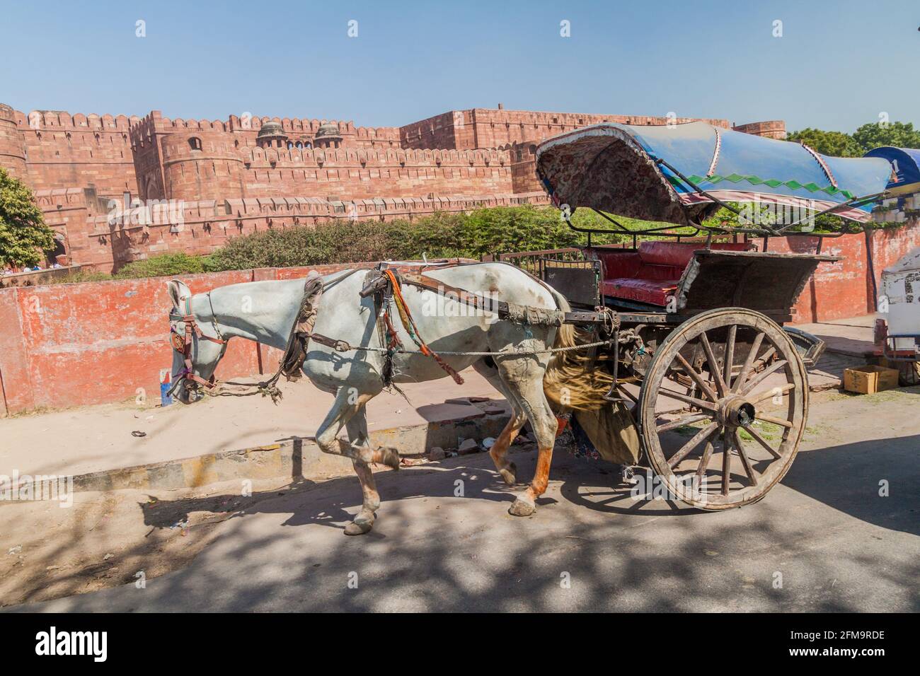 Horse cart in front of Agra Fort, Uttar Pradesh state, India Stock