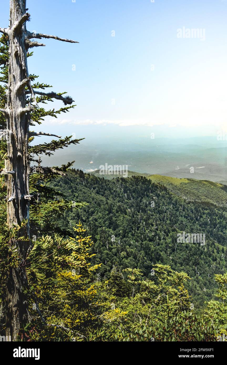 View from Myrtle Peak, Mount Le Conte in Gatlinburg Tennessee Stock Photo