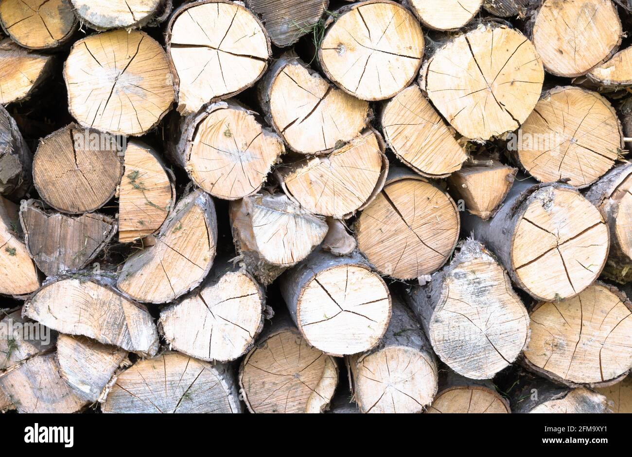 Wood logs stacked up in a pile Stock Photo