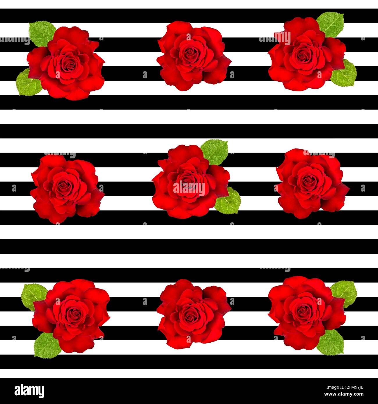 Black And Red Rose Background Design