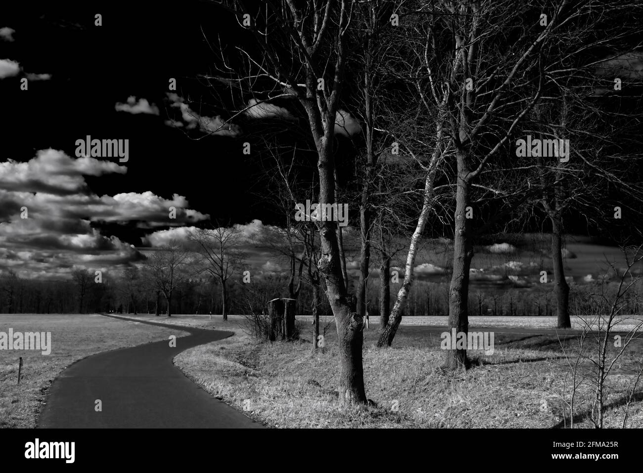 Cycle path in spring in the state of Brandenburg in Germany, black and white Stock Photo