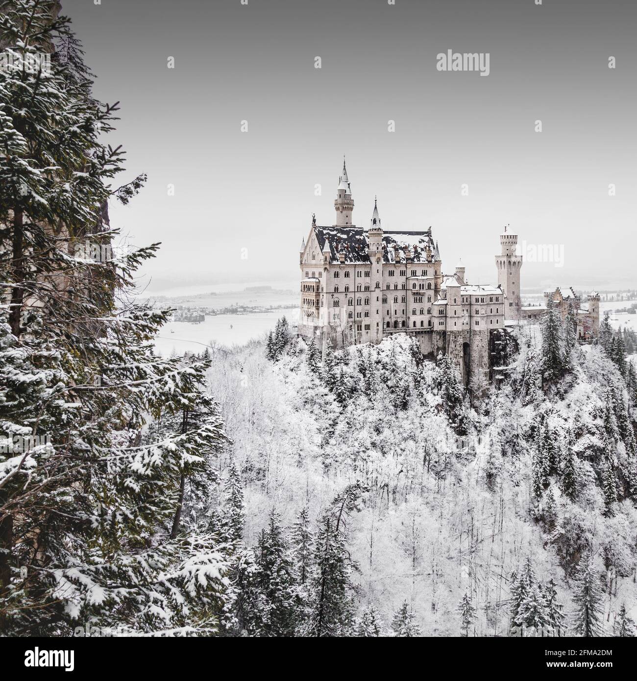 View from the Marienbrücke to the snow-covered Neuschwanstein Castle near Füssen in winter. Stock Photo