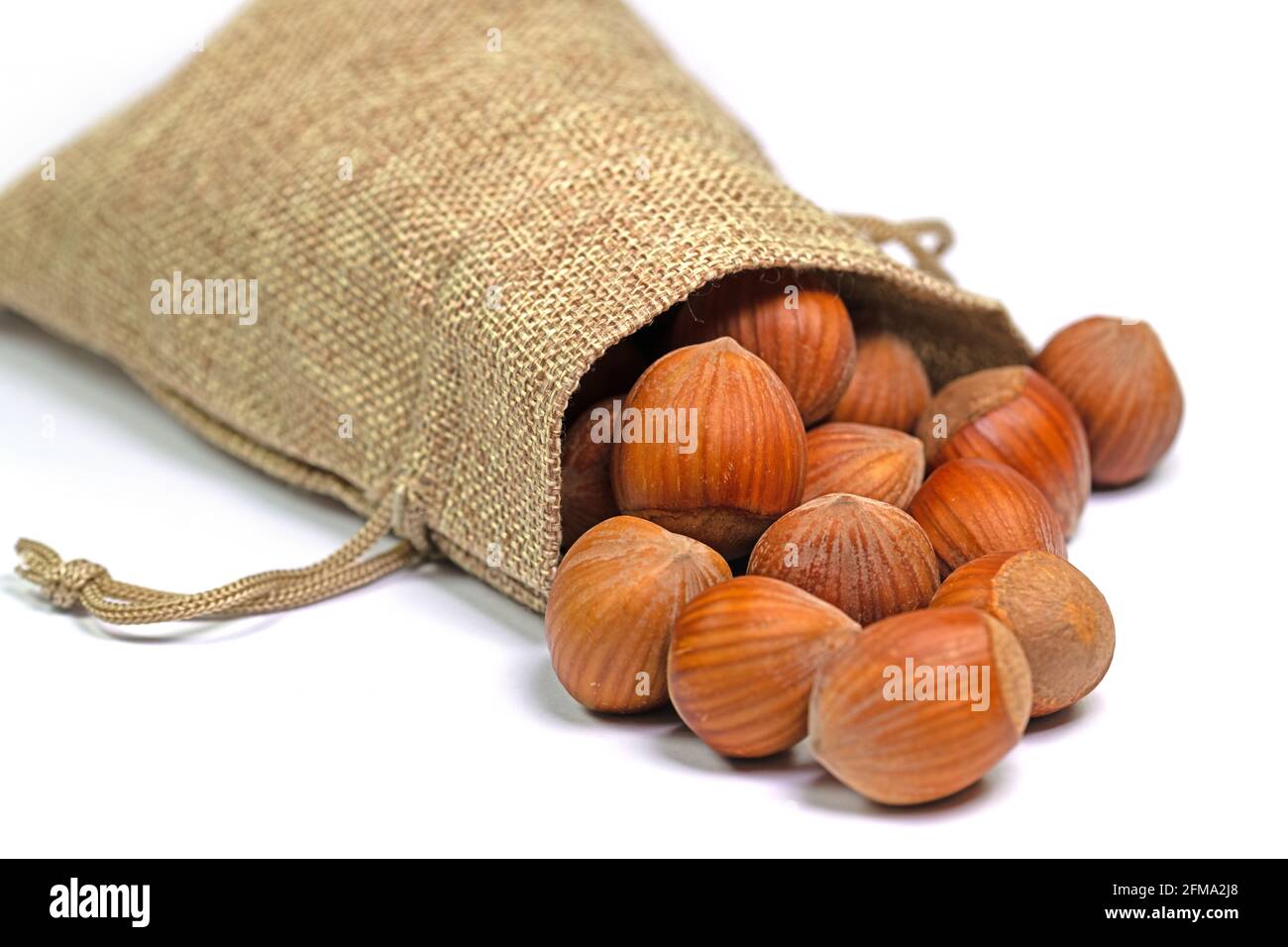 https://c8.alamy.com/comp/2FMA2J8/hazelnuts-in-a-jute-bag-against-a-white-background-2FMA2J8.jpg
