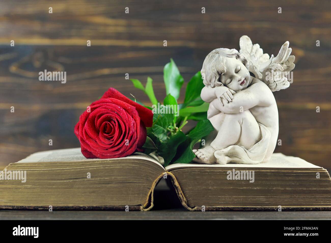 Sympathy card with sleeping angel and red rose on open book Stock Photo