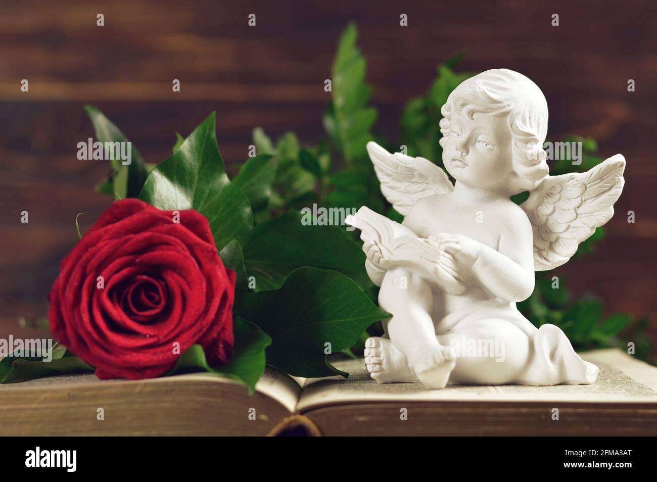 Angel and red rose on open book Stock Photo