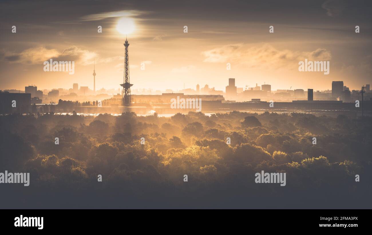 Sunrise in autumn over the misty Grunewald with a view of the radio tower and the television tower in Berlin. Stock Photo