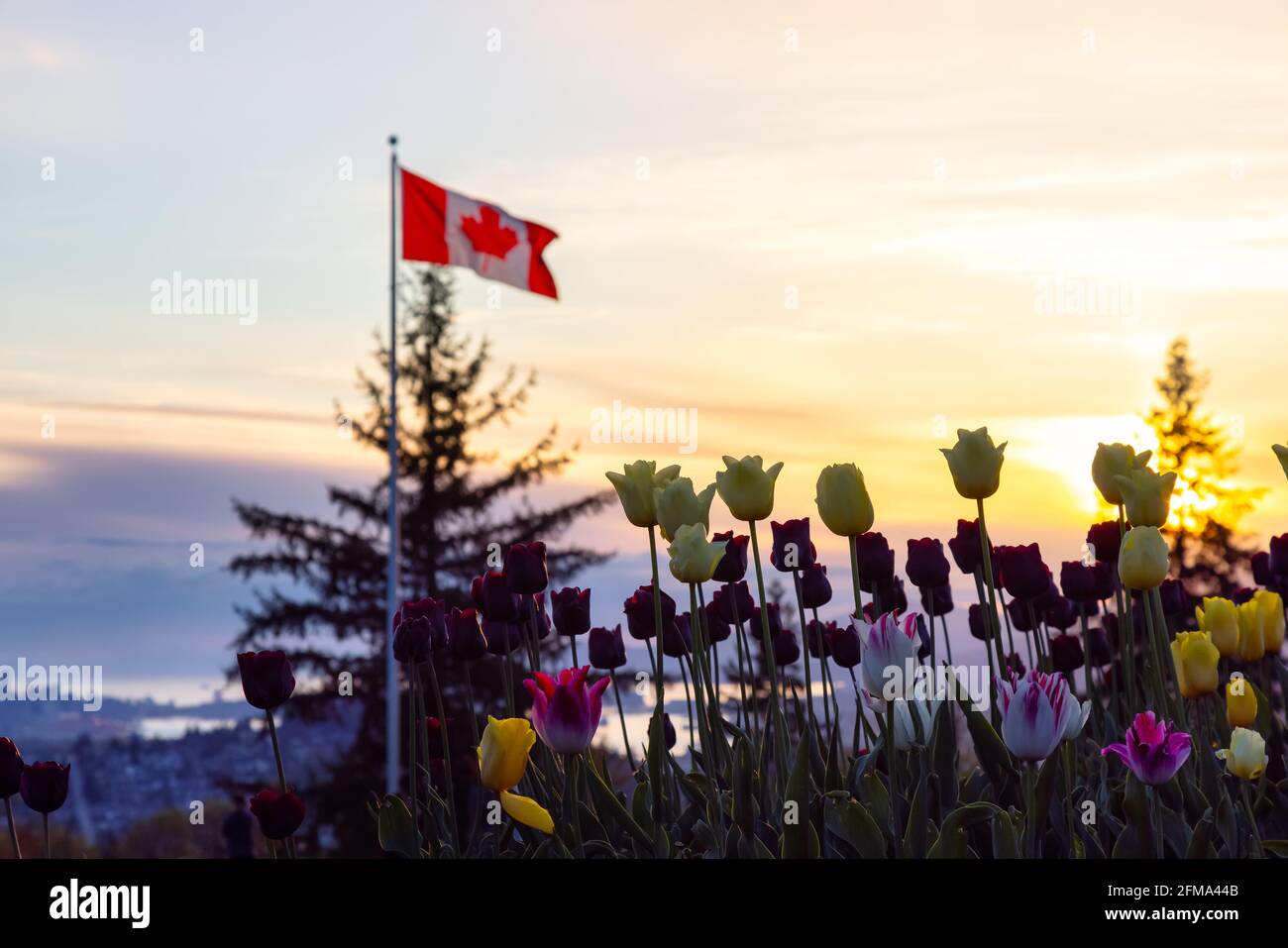 Colorful Flowers in a garden with Canadian National Flag Stock Photo