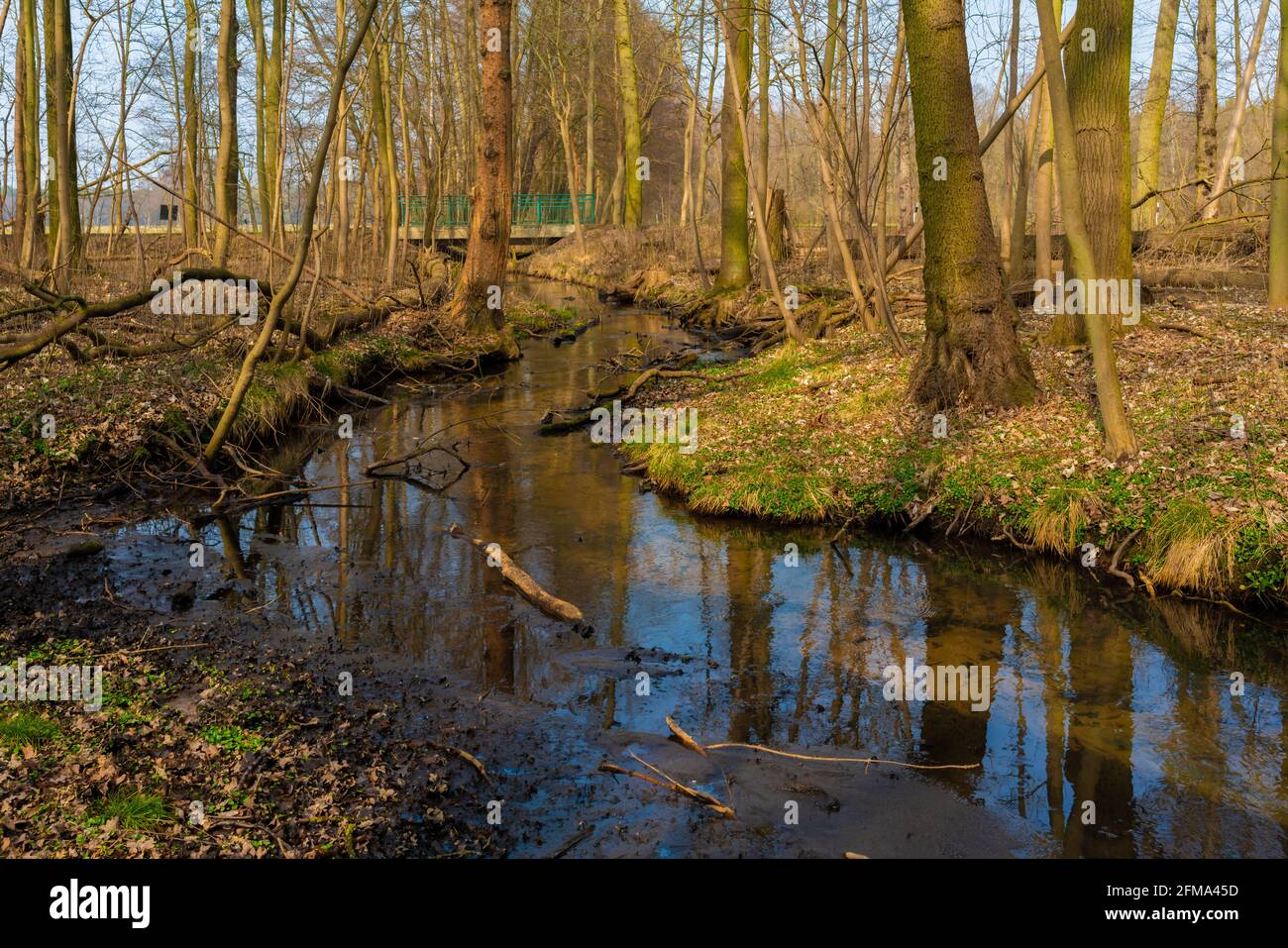 The small river Eiserbach in spring in Germany in the sunshine, old broken branches lie in the water Stock Photo