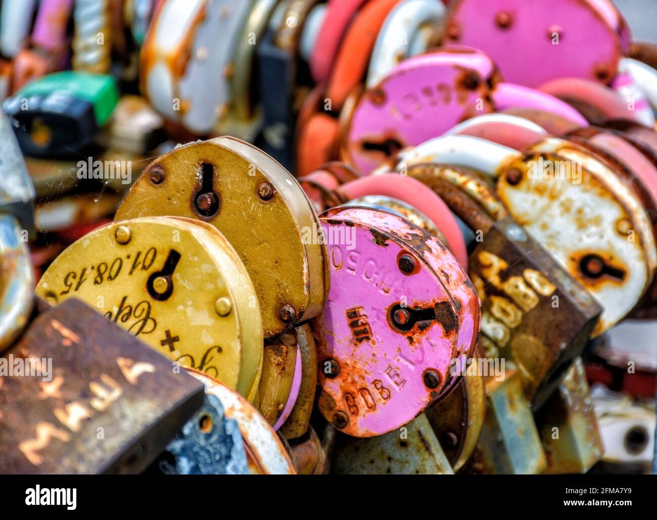 Locks hung on the railing of the bridge according to tradition on the ...