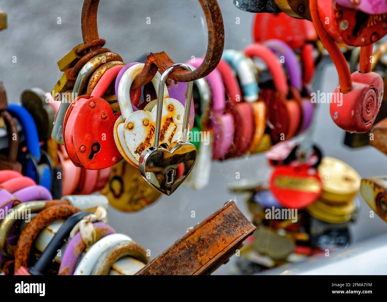 Locks hung on the railing of the bridge according to tradition on the ...