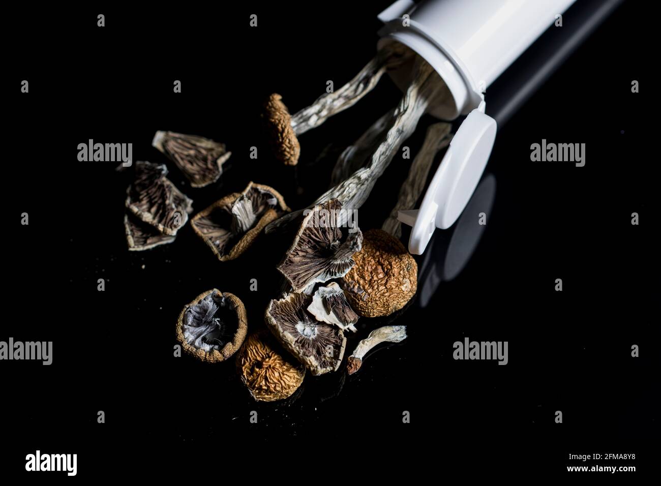 Close up magic mushrooms on black background. Modern alternative medicine used to treat mental health disorders and end of life distress. Stock Photo