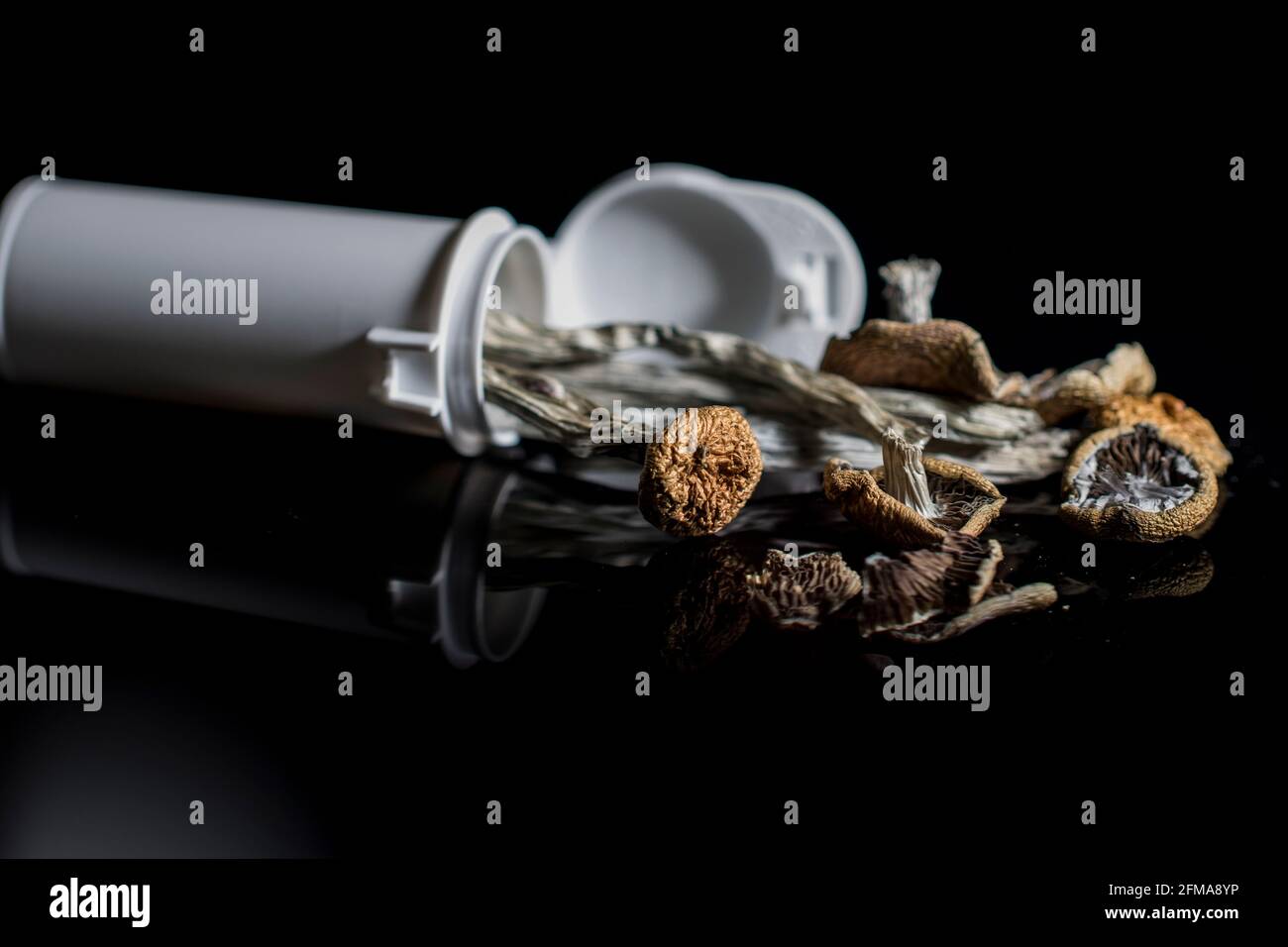 Close up dried magic mushrooms use for medical treatment for mental health. Stock Photo
