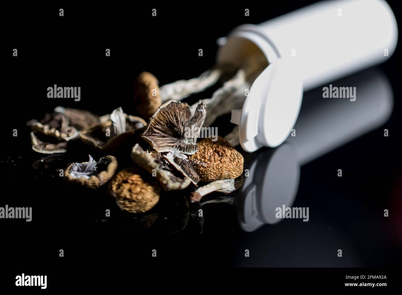 Magic mushrooms close up psychedelics used in clinical trails as alternative medicine for depression and anxiety. Stock Photo