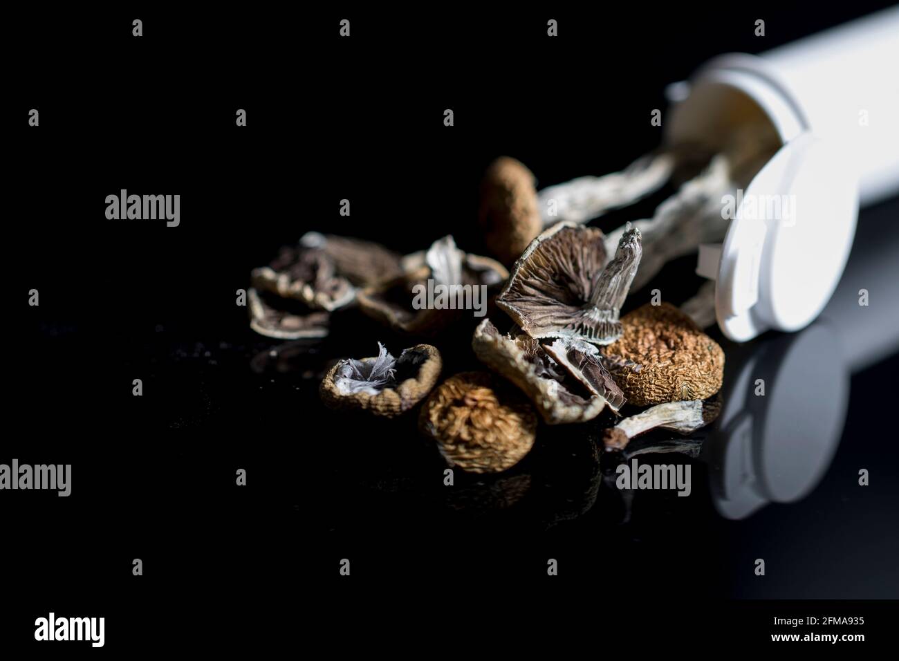 PTSD psychotherapy medical mushrooms psychedelic-assisted therapy. Dried magic mushrooms containing psilocybin. Stock Photo