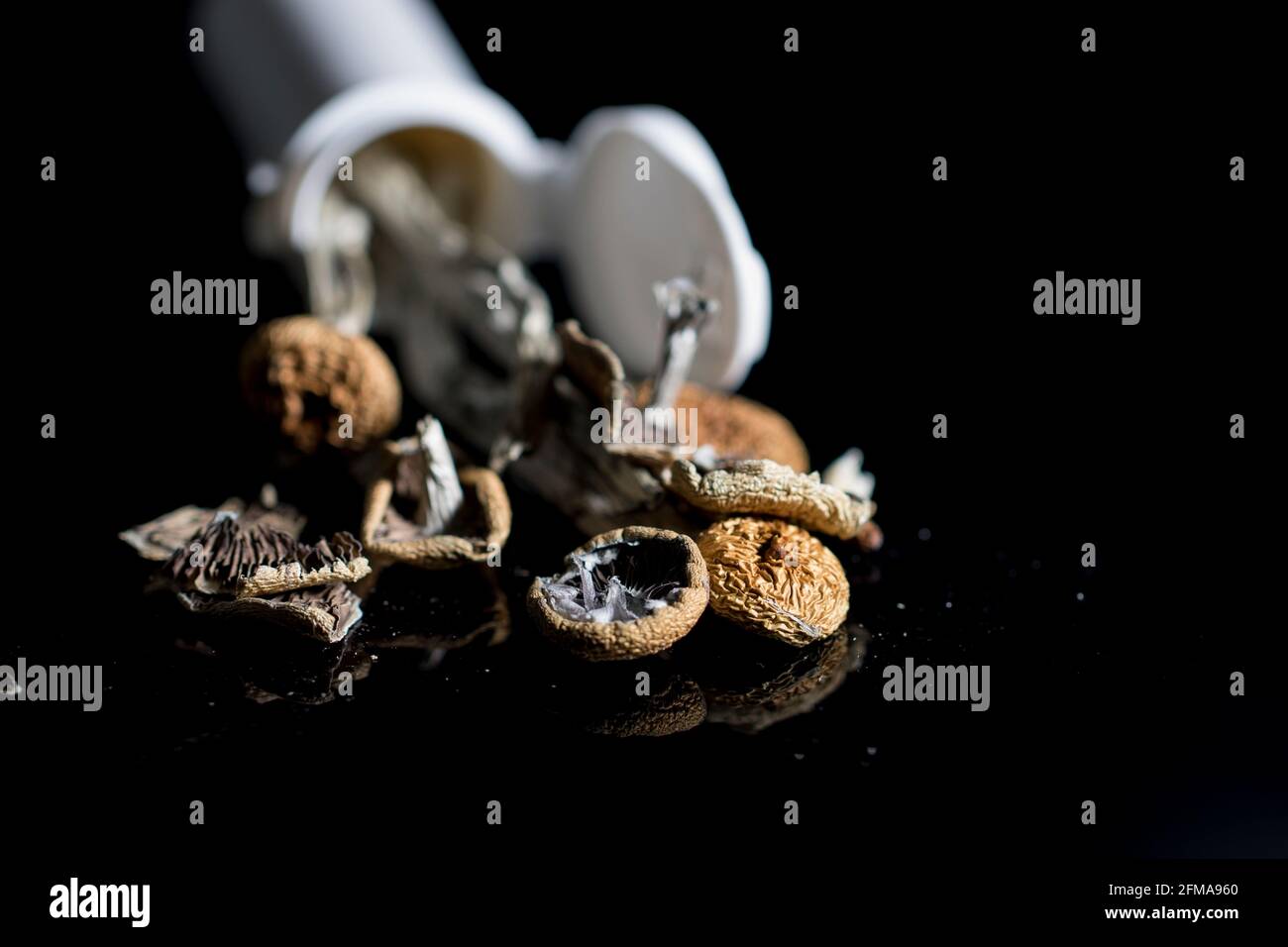 Psychedelic therapy close up medical magic mushrooms used to treat mental illness. Alternative plant medicine. Stock Photo