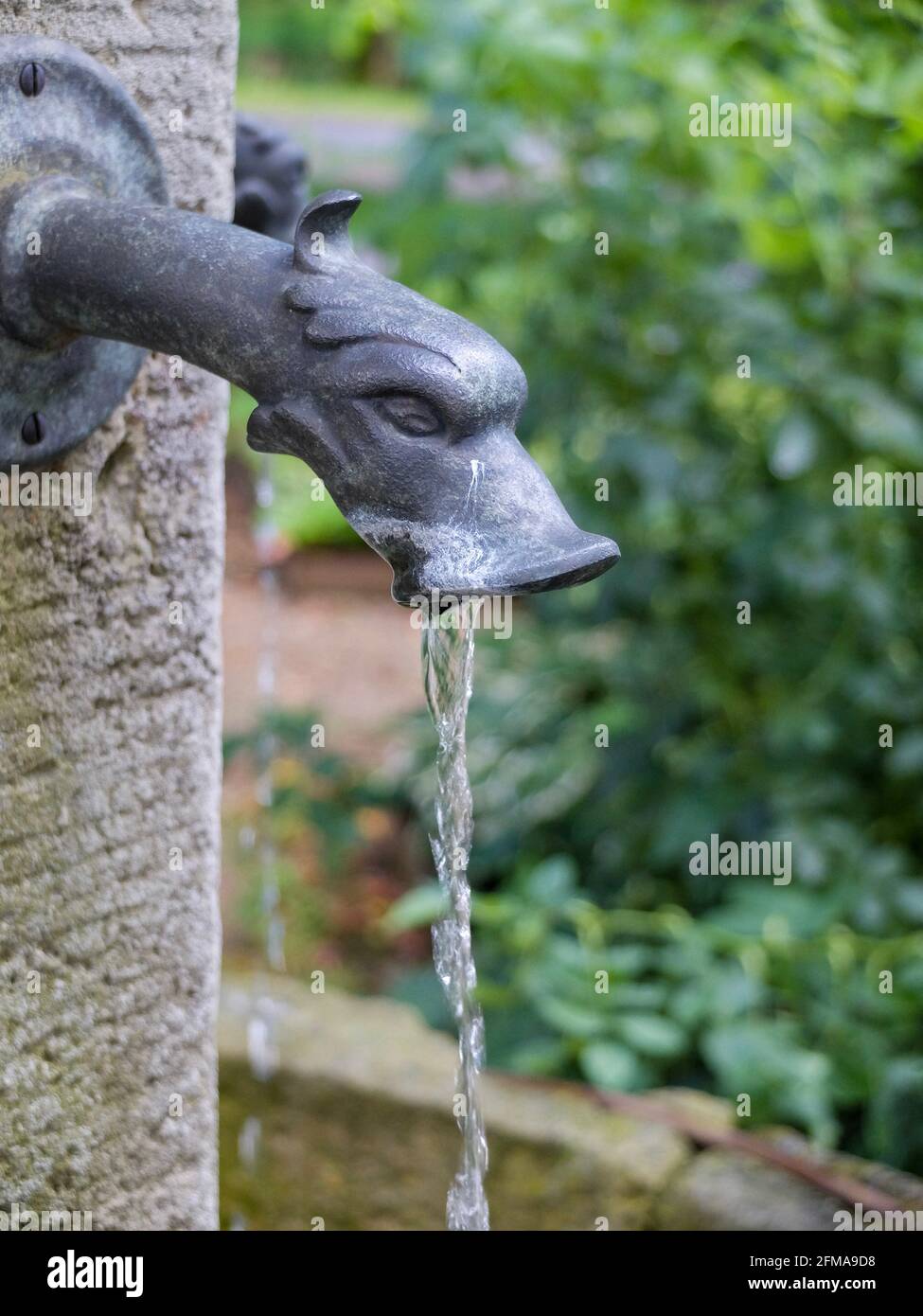 Antique fountain with gargoyle Stock Photo Alamy