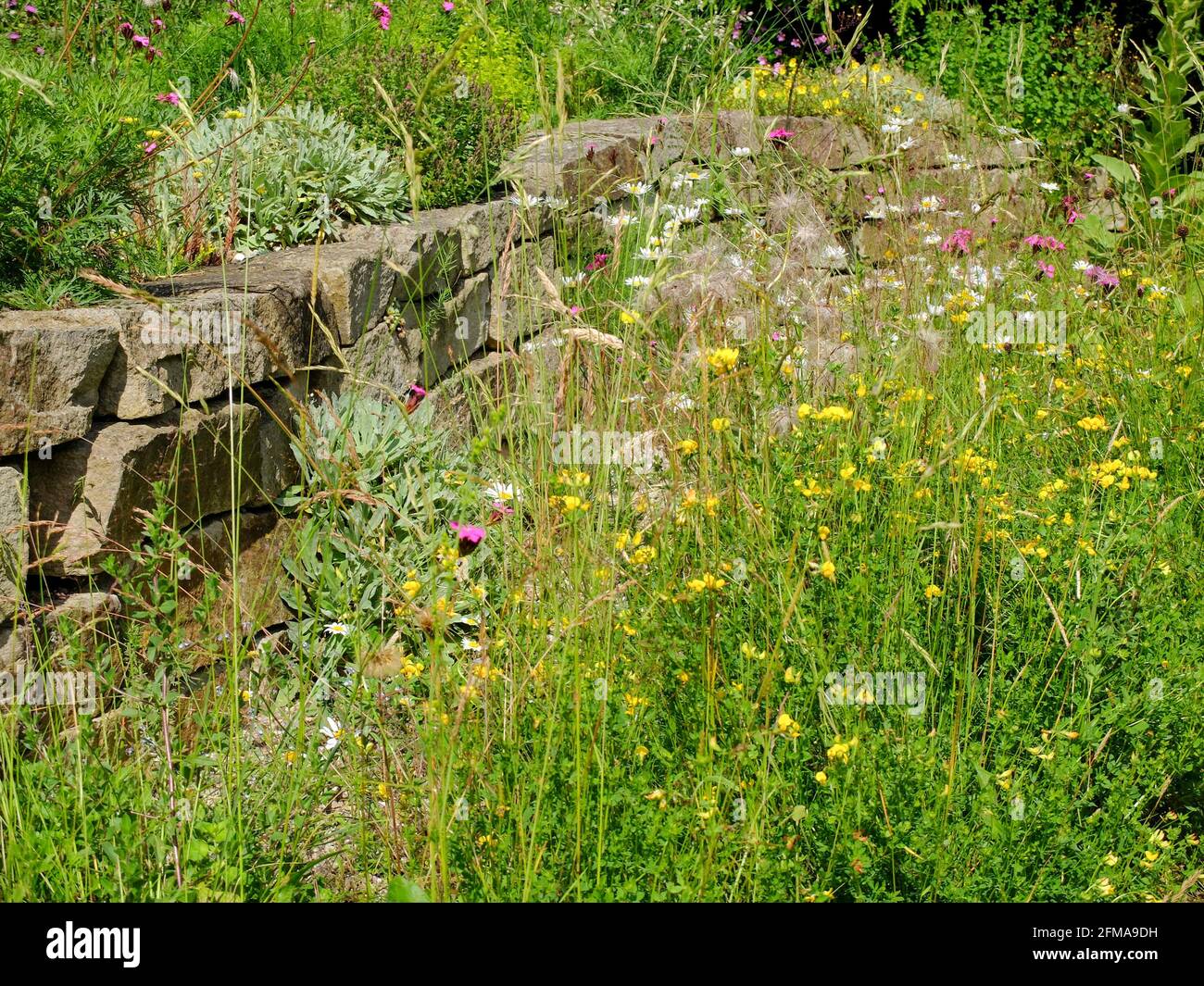 Dry stone wall garden hi-res stock photography and images - Alamy
