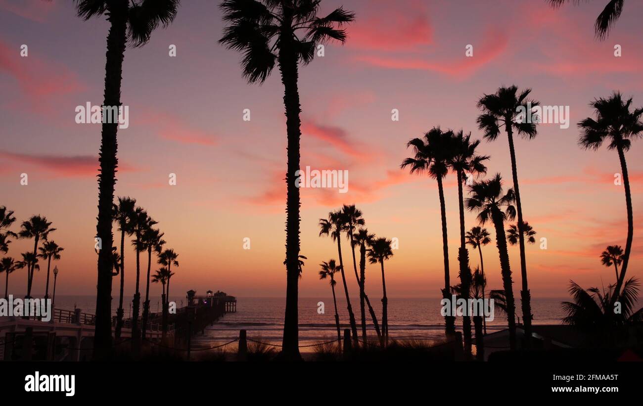 California Vibes, aesthetic, america, beach, la, night, palms