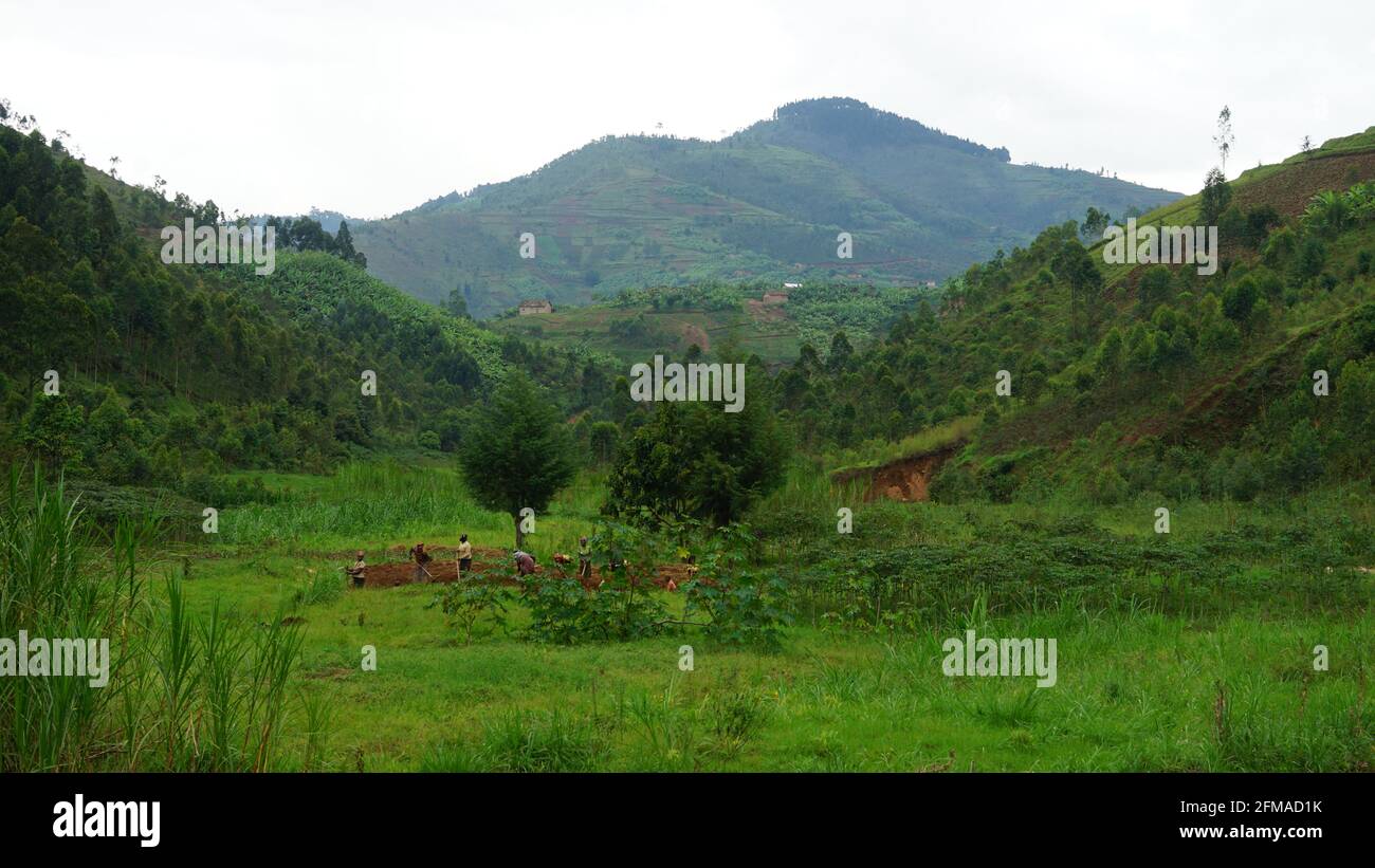 mountaint and hills with blue sky of africa in rwanda Stock Photo