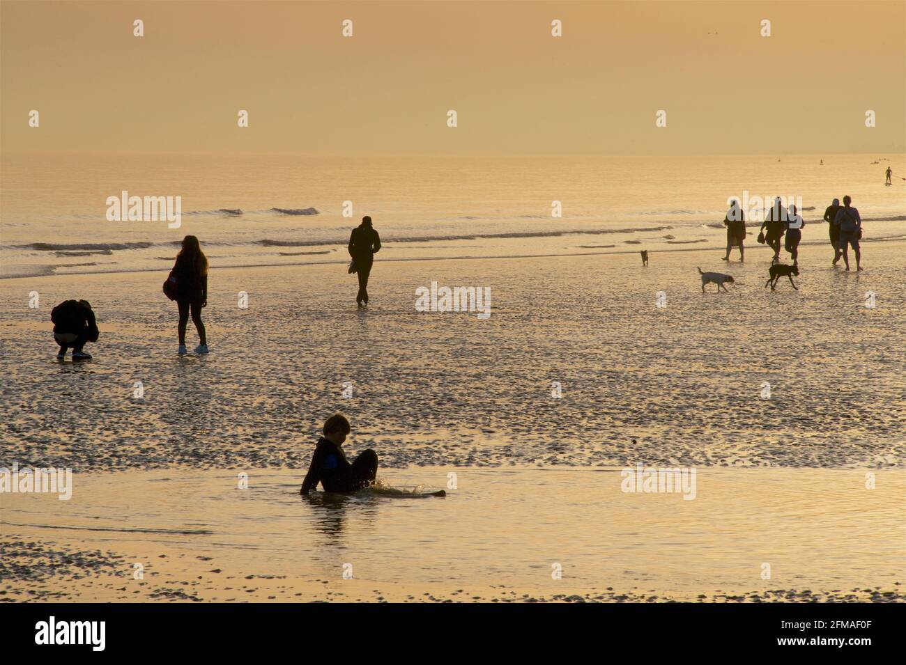 Brighton and Hove beach at low tide. Silhouettes of people walking along the sandy shore at