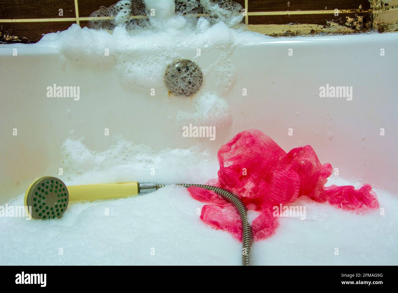 Shower head and shower sponge in a foamy bathtub in a bathroom with moldy walls Stock Photo
