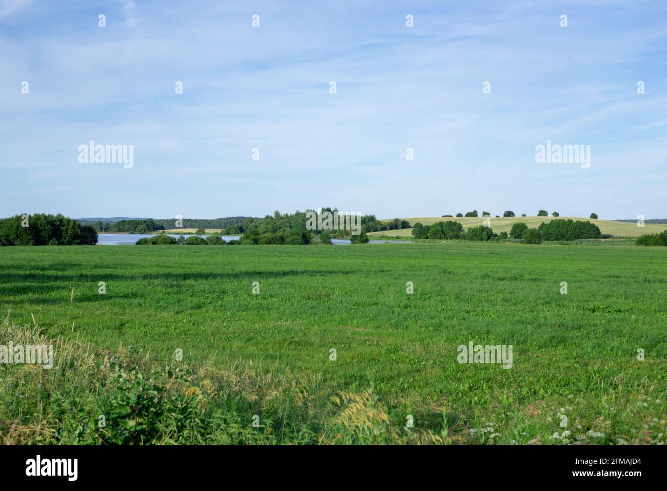 Landscape with green grass and blue sky Stock Photo - Alamy