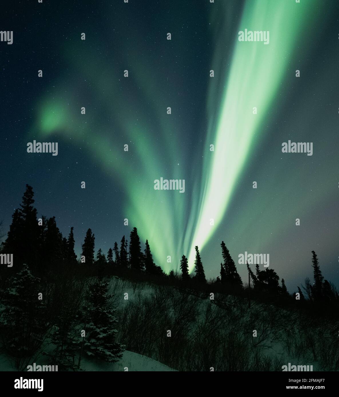 Auroras over the trees and mountain! Stock Photo