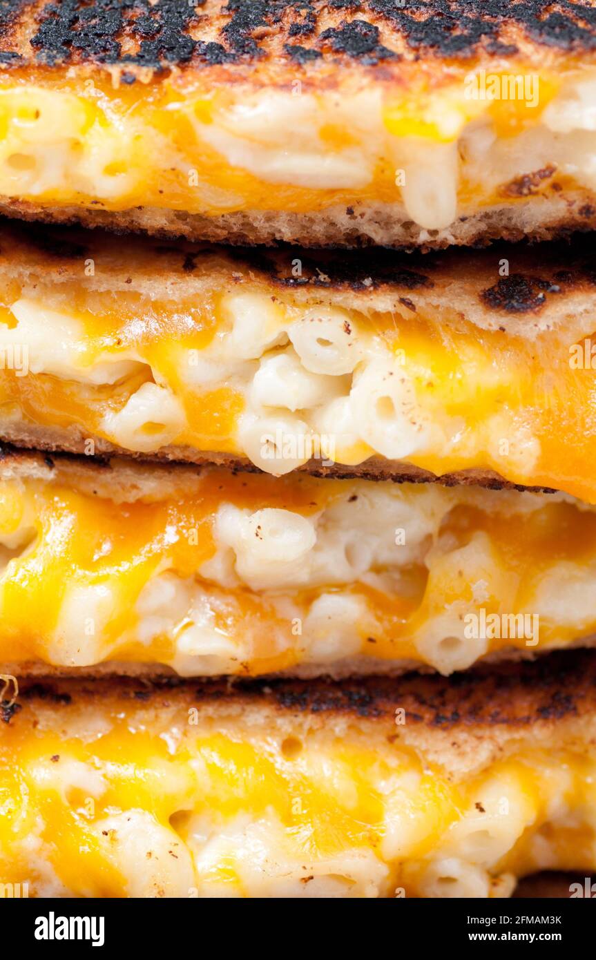 grilled macaroni and cheese sandwich Stock Photo Alamy
