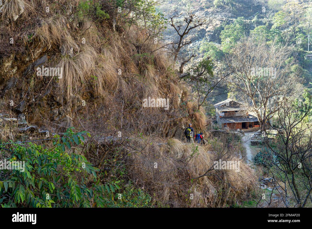 Trekking between Tatopani and Ghorepani, Myagdi District, Nepal Stock Photo