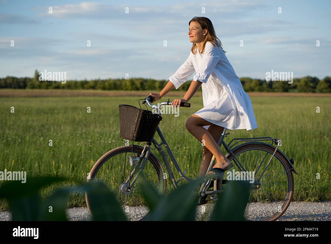 Young woman rides a bicycle with a basket in the evening mood, Franconia, Bavaria, Germany Stock Photo