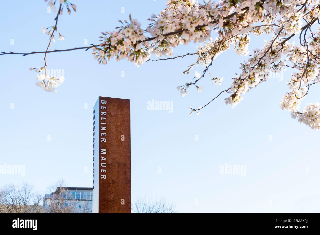 Berlin, the former course of the Wall, 'Berlin Wall' stele, Oberbaum Bridge, Japanese cherries in bloom Stock Photo