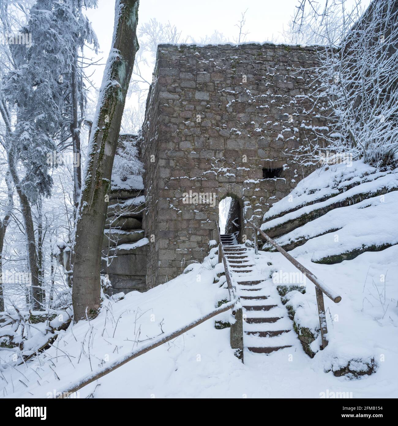 Germany, Bavaria, Franconia, Upper Franconia, Fichtelgebirge, Großer Waldstein, castle ruins Waldsteinburg, also Red Castle, in the near-natural forest in winter with snow and hoarfrost Stock Photo