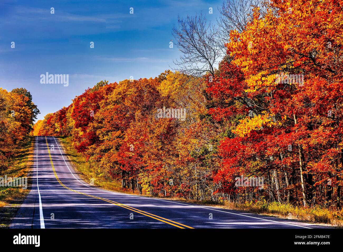 Fall foliage color in the trees in rural Wisconsin, USA Stock Photo - Alamy