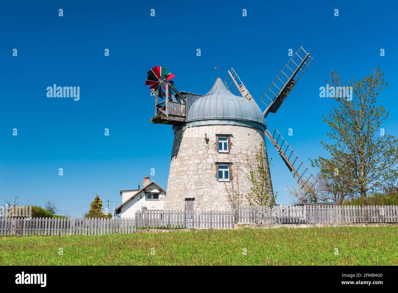 Germany, Saxony-Anhalt, Naumburg, the tower windmill of Tultewitz in spring Stock Photo