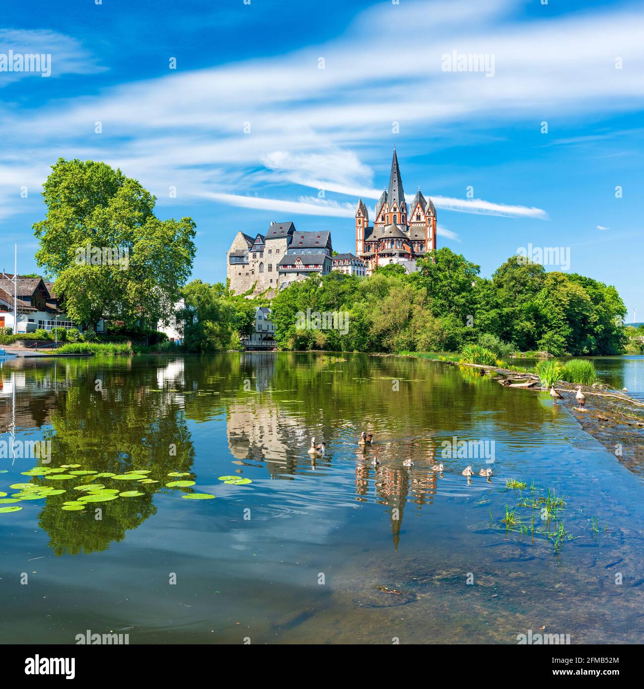 Germany, Hesse, Limburg an der Lahn, Limburger Dom St. Georg or Georgsdom and Limburg Castle, also Limburg Castle over the river Lahn, water reflection and Egyptian geese Stock Photo