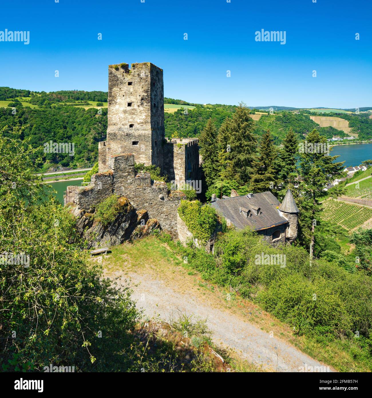 Germany, Rhineland-Palatinate, Kaub, Upper Middle Rhine Valley World Heritage, Gutenfels Castle on the Rhine Stock Photo