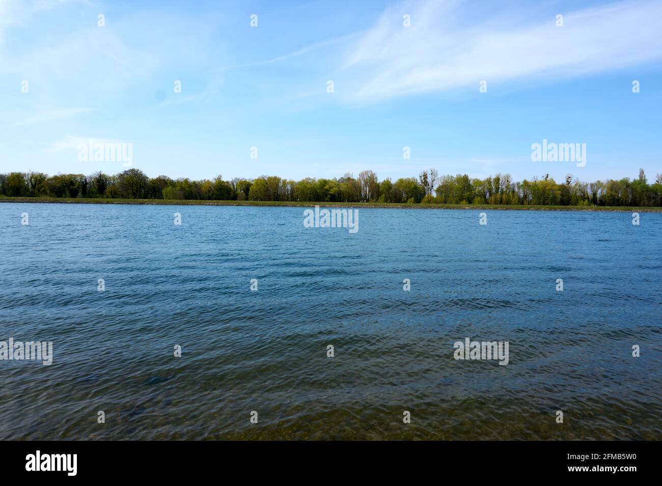 Calm lake under the blue sky with trees in the background Stock Photo ...