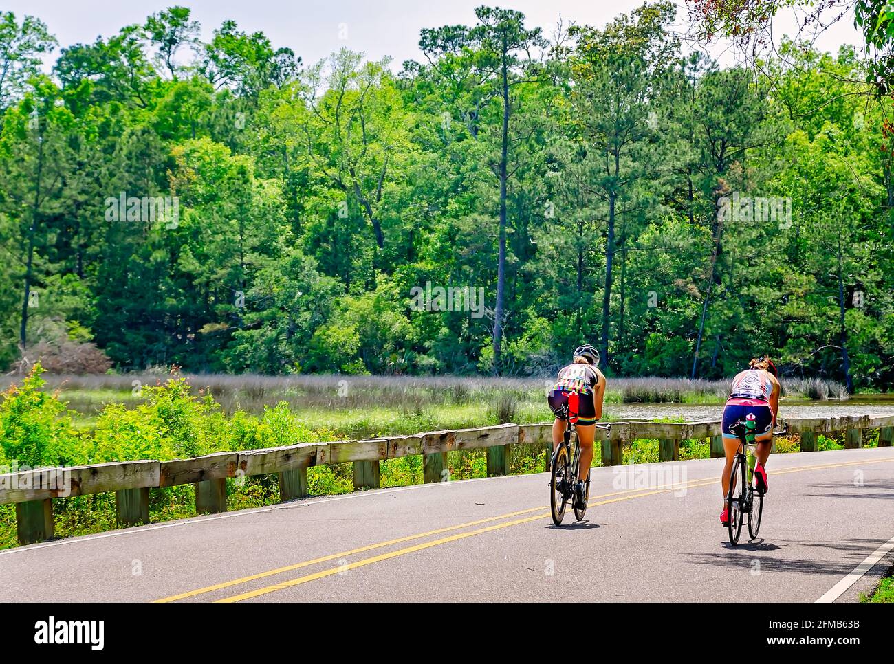 Bicyclists ride through the Davis Bayou Area at Gulf Islands National Seashore, May 1, 2021, in Ocean Springs Mississippi. Stock Photo