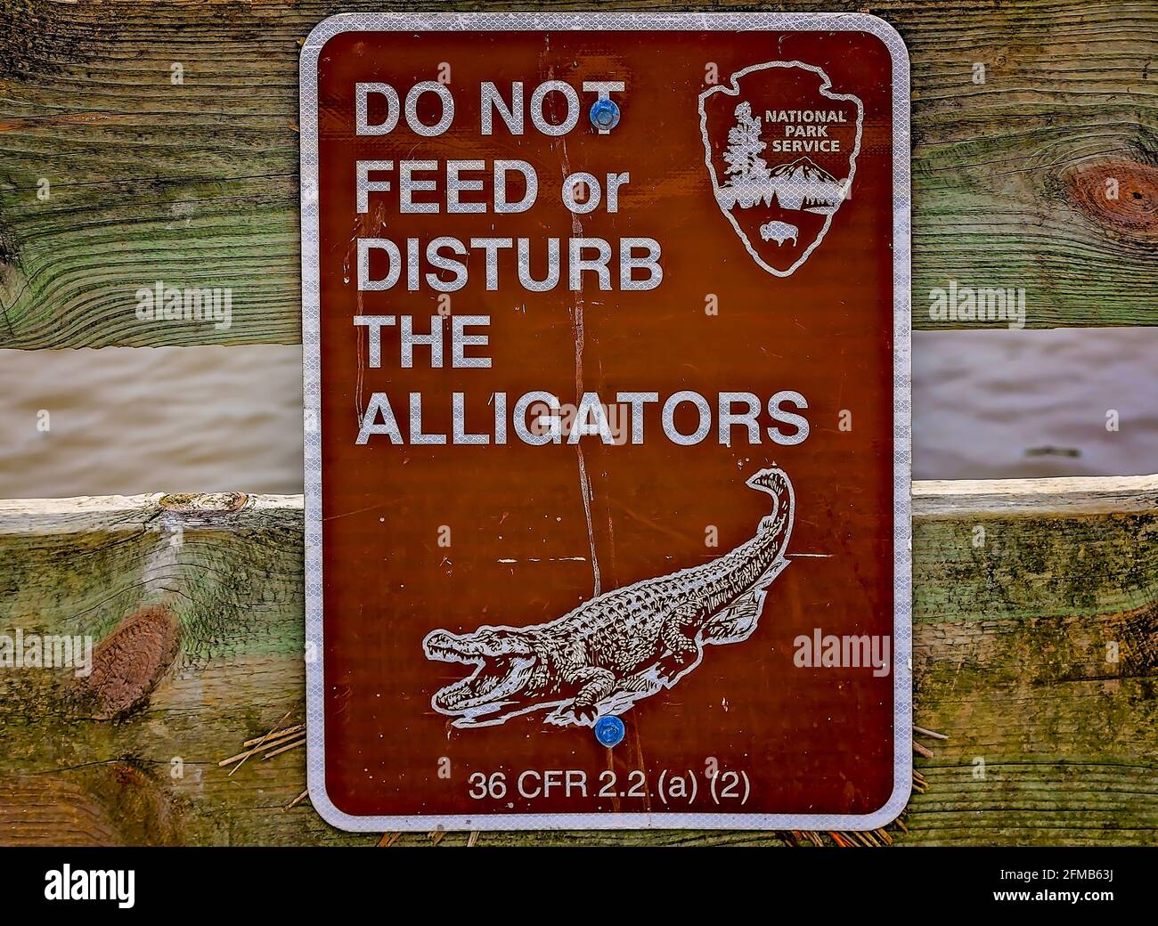 A sign warns visitors not to feed or disturb the alligators at the