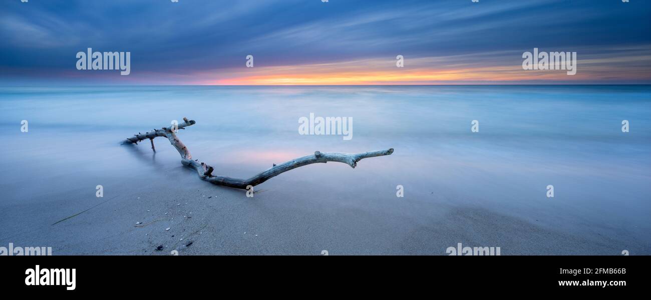 Panorama, afterglow on the beach of the Baltic Sea, branch in the surf, Fischland-Darß-Zingst peninsula, Western Pomerania Lagoon Area National Park, Mecklenburg-Western Pomerania, Germany Stock Photo