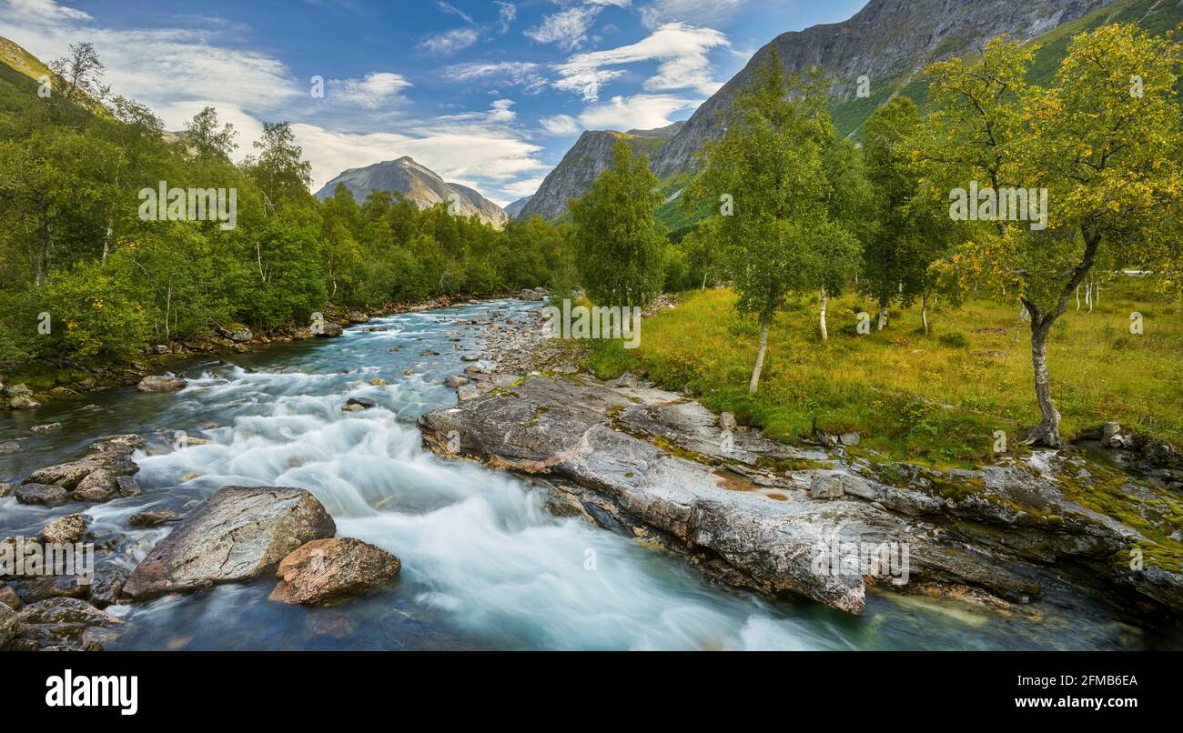 River og hi-res stock photography and images - Alamy