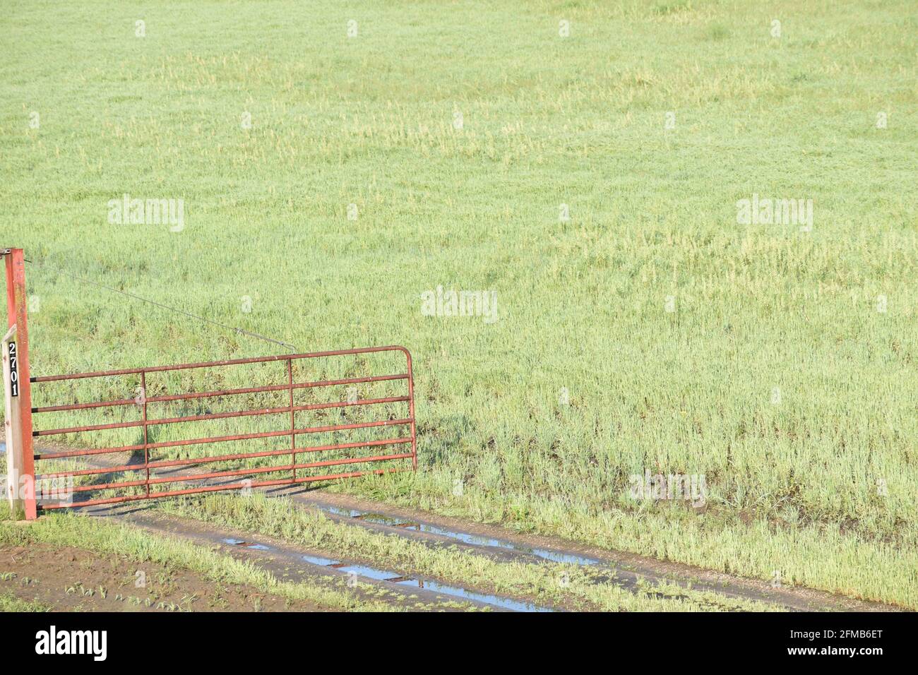 Red farm gate near a grassy field Stock Photo