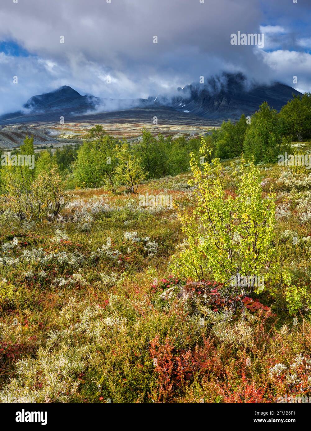 High Resolution Rondane Smedhamran High Resolution Stock Photography and Images - Alamy