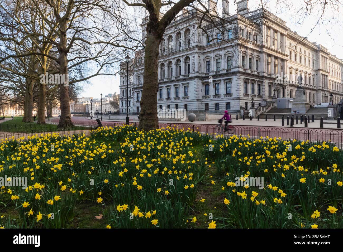 England, London, Westminster, Whitehall, St.James's Park and Foreign and Commonwealth Office wtih Daffodils in Spring Stock Photo